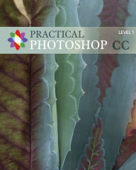Practical Photoshop CC Level 1: Practical Photoshop CC Level 1 Donald Laird Author