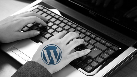 Enhanced WordPress Strategies For Business