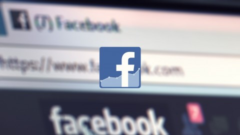 The Basics of Facebook Analytics