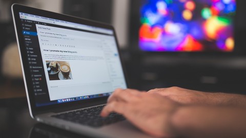 diploma wordpress create web sites