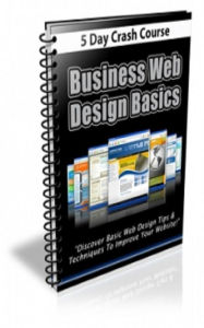 Business Web Design Basics Newsletter Jimmy Cai Author