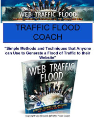 Traffic Flood Coach Udo Ginczek Author