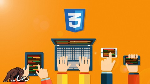 Kids Coding - Beginners CSS