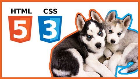 Learn Web Design, HTML and CSS in Hindi - 2022