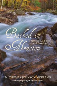 Bathed in Abrasion N. Thomas Johnson-Medland Author