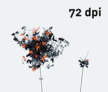 72-Dpi by Robert Klanten