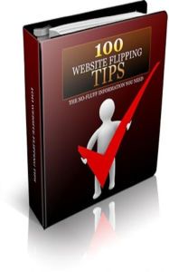 100 Website Flipping Tips Jimmy Cai Author