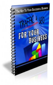 Traffic And SEO For Your Businses Jimmy Cai Author