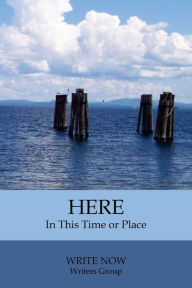 Here: In this place or time Judy Shuler Author