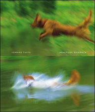 Beautiful Evidence Edward Tufte Author
