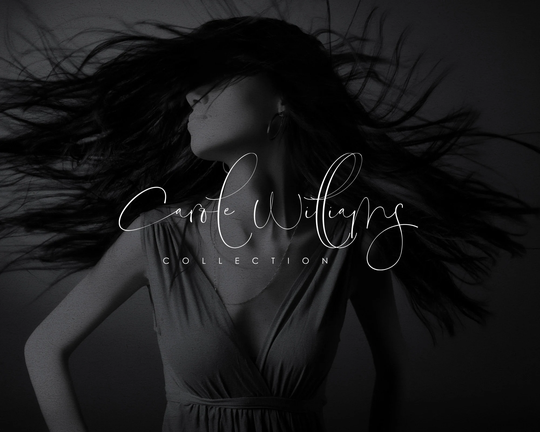 Signature Logo, Premade Logo Design, Photography Modern Minimalist Boutique Text Beauty Script