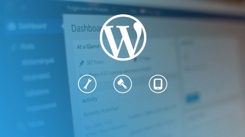 Wordpress Development