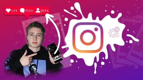 Der ultimative Instagram Masterkurs 2021 - Geld & Follower!