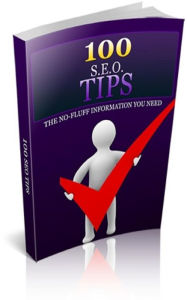100 S.E.O.TIPS Jimmy Cai Author